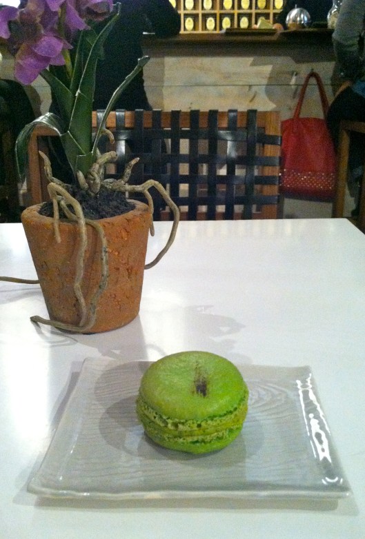 Matcha Macaron