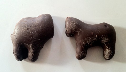 Horse? Sheep? Bison? Mammoth? Any guesses?